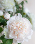 Peonies Silk 27.5"