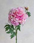 Peonies Silk 27.5"