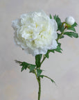 Peonies Silk 27.5"
