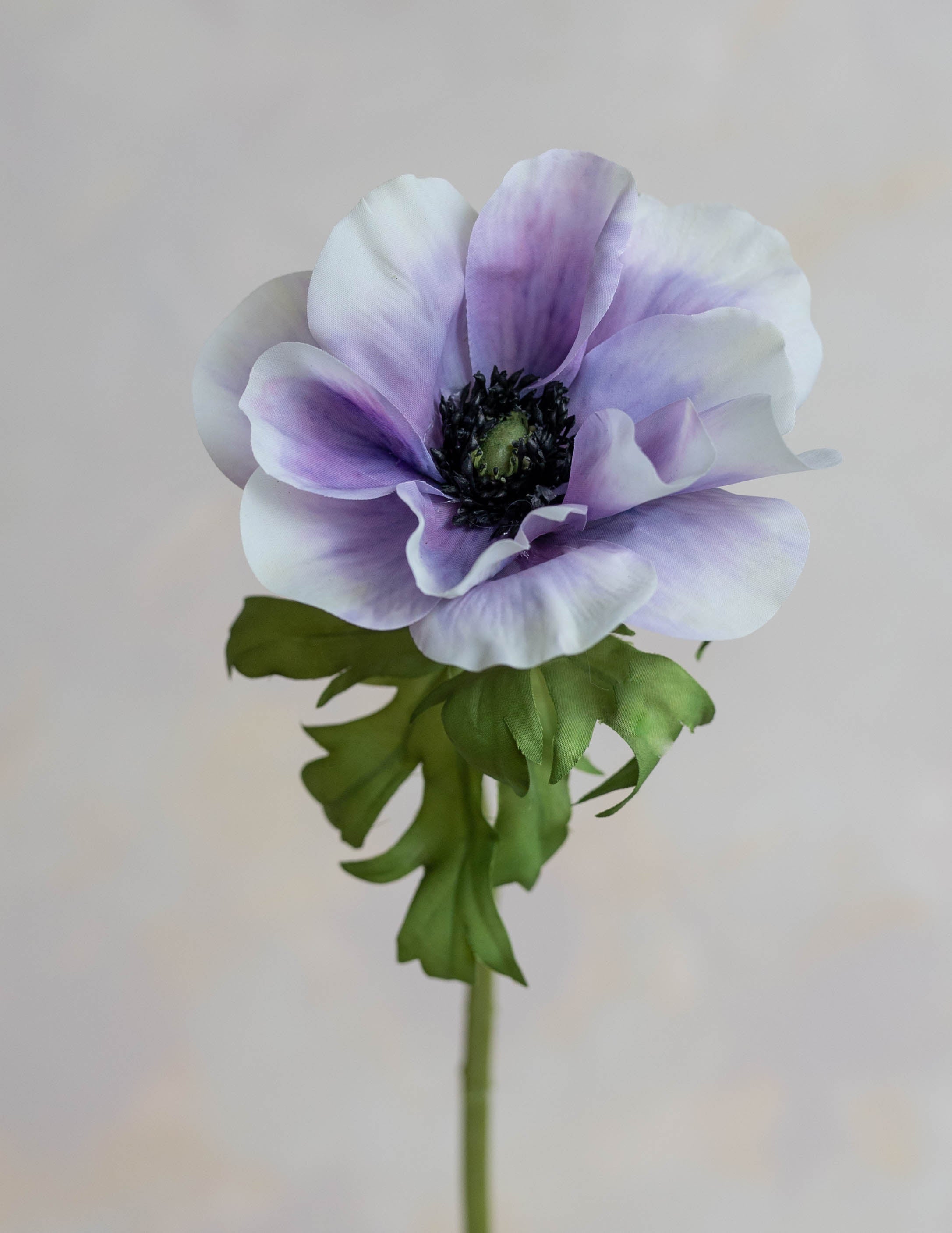 lavender anemone flower Anemone Silk 16.5"