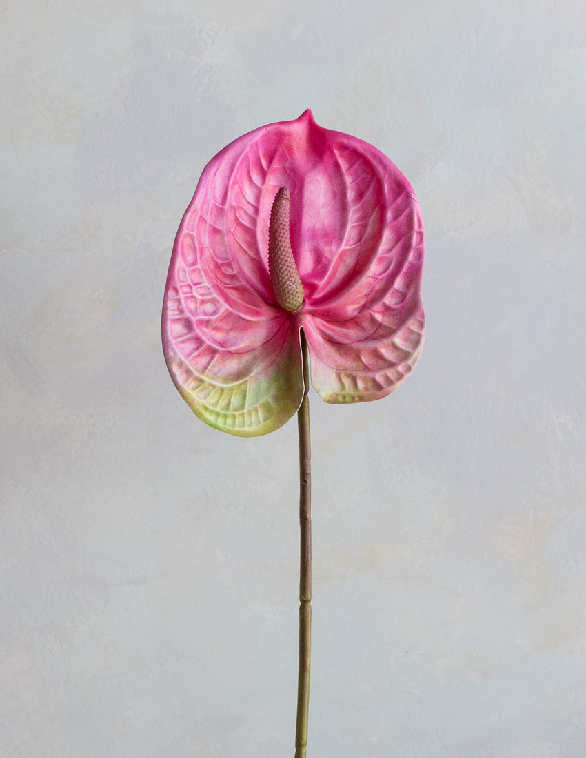 anthurium artificial light Faux Anthurium 25