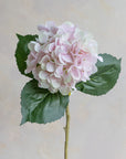 Hydrangea Silk 19"