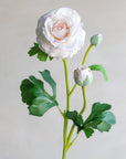 Ranunculus Clooney Real Touch 20"