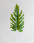 Faux Xanadu Single Leaf 23"