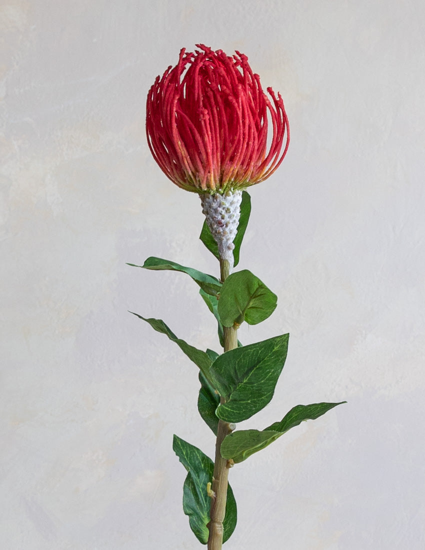 Faux Pincushion Protea 29.5"