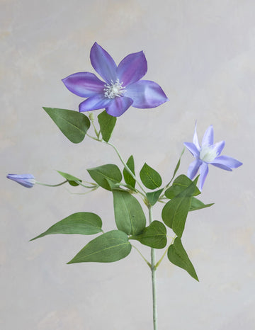 Clematis Silk 26"