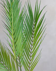 Faux Palm Fronds 28"