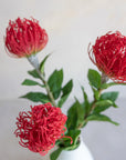 Faux Pincushion Protea 29.5"