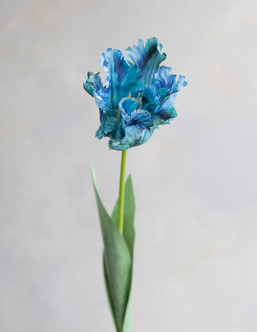 Faux Parrot Tulip 27"