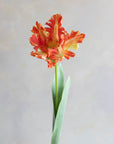 Faux Parrot Tulip 27"