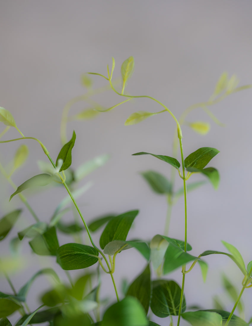 Clematis Greenery Silk 22"