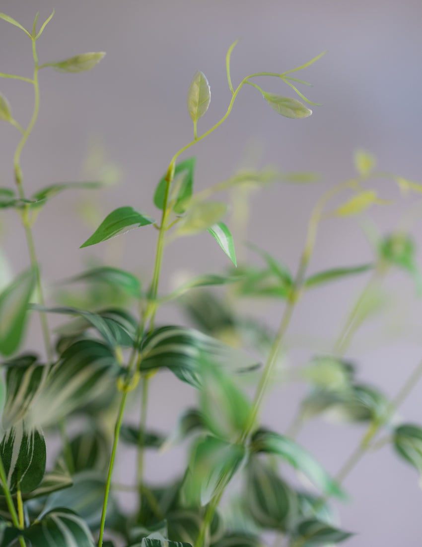 Clematis Greenery Silk 22"