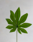 Faux Fatsia Single Leaf 18"