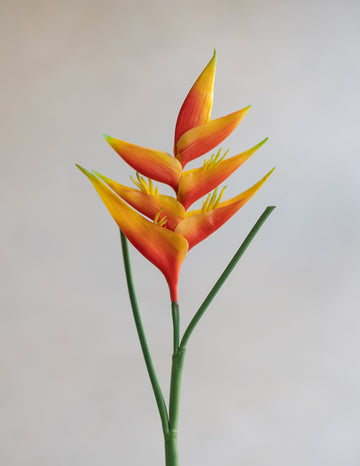 Faux Heliconia 34"