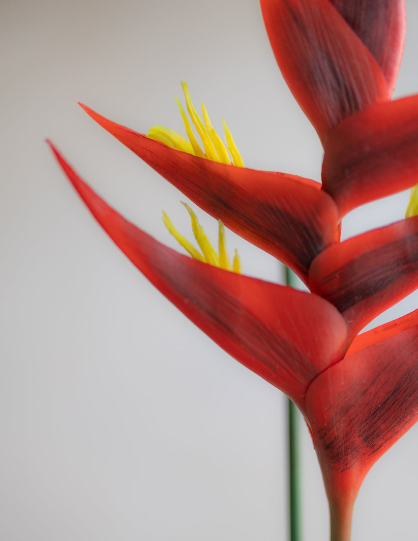 Faux Heliconia 34"