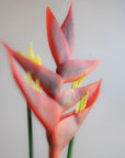 Faux Heliconia 34"