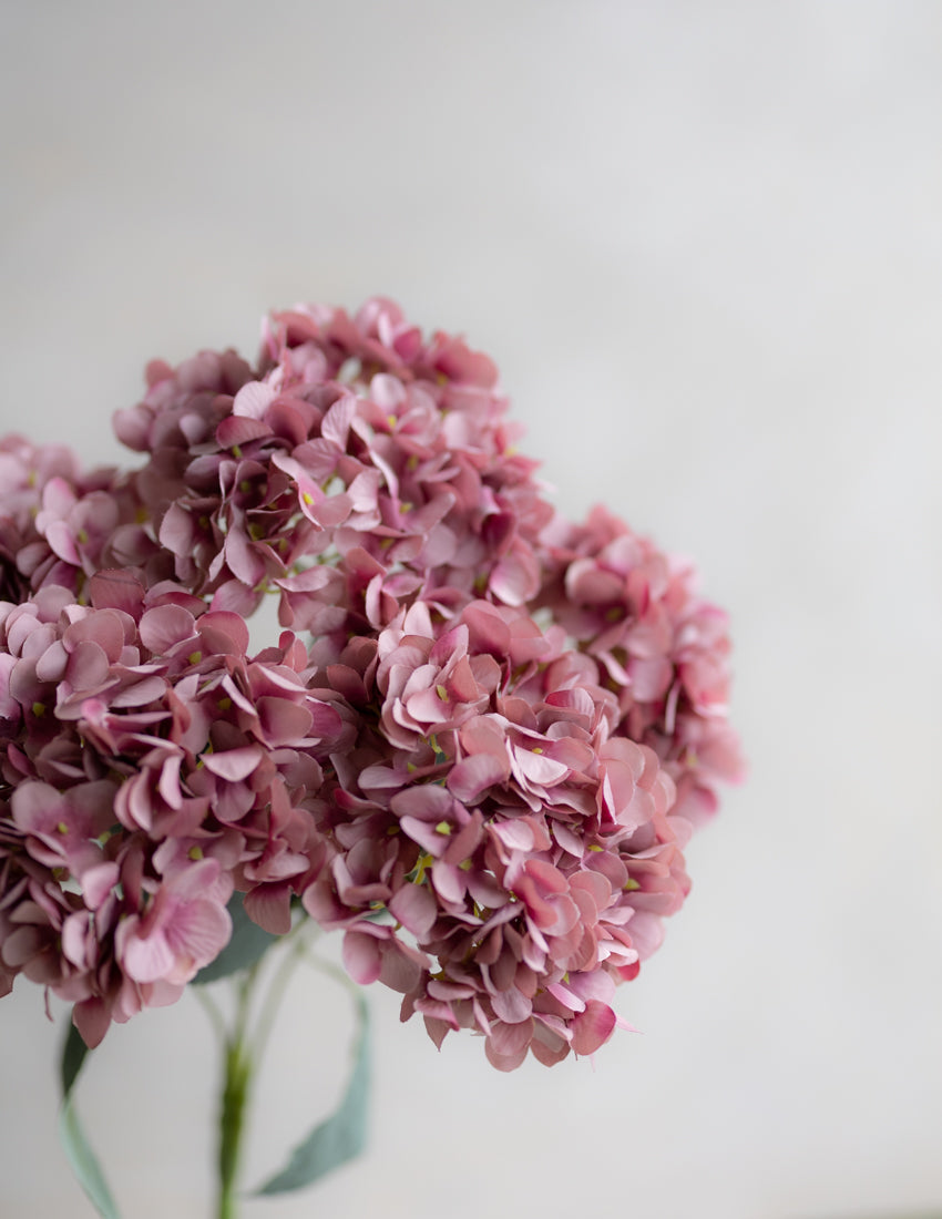 Hydrangea Bunch Silk 19"