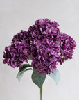 Hydrangea Bunch Silk 19"