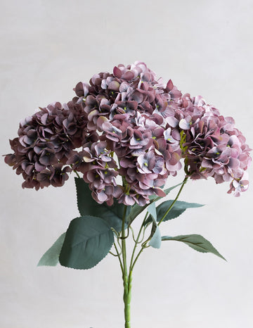 Hydrangea Bunch Silk 19"