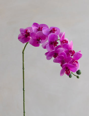 Mini Faux Phalaenopsis Orchids 22"