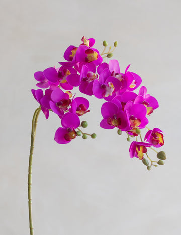 Mini Faux Phalaenopsis Orchids 29"