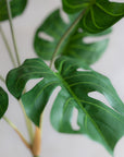 Faux Monstera Bunch 23"