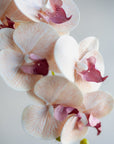 Faux Phalaenopsis Orchids 37"