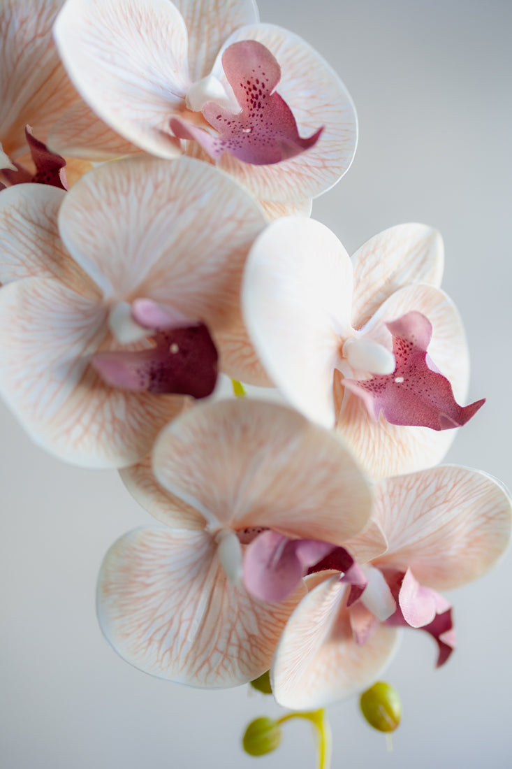 Faux Phalaenopsis Orchids 37"