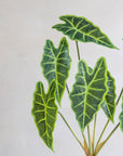 Faux Philodendron Bunch 22"