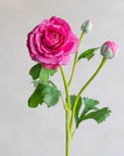 Ranunculus Clooney Real Touch 20"