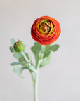 Ranunculus Silk 19"