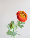 Ranunculus Silk 19"