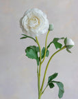 Ranunculus Clooney Real Touch 20"