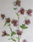 Hellebores Silk 45"