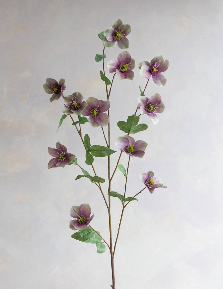 Hellebores Silk 45"