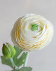 Ranunculus Silk 19"