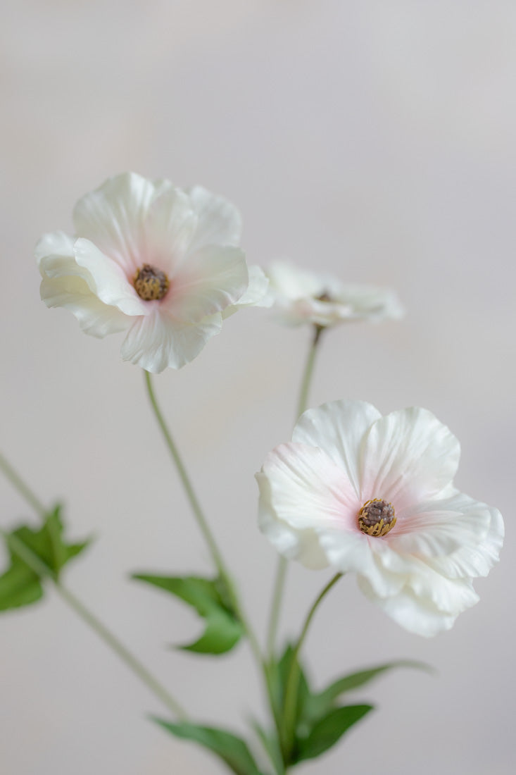 Ranunculus Butterfly Silk 19"