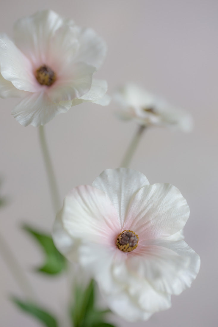 Ranunculus Butterfly Silk 19"