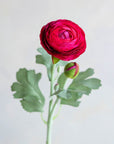 Ranunculus Silk 19"