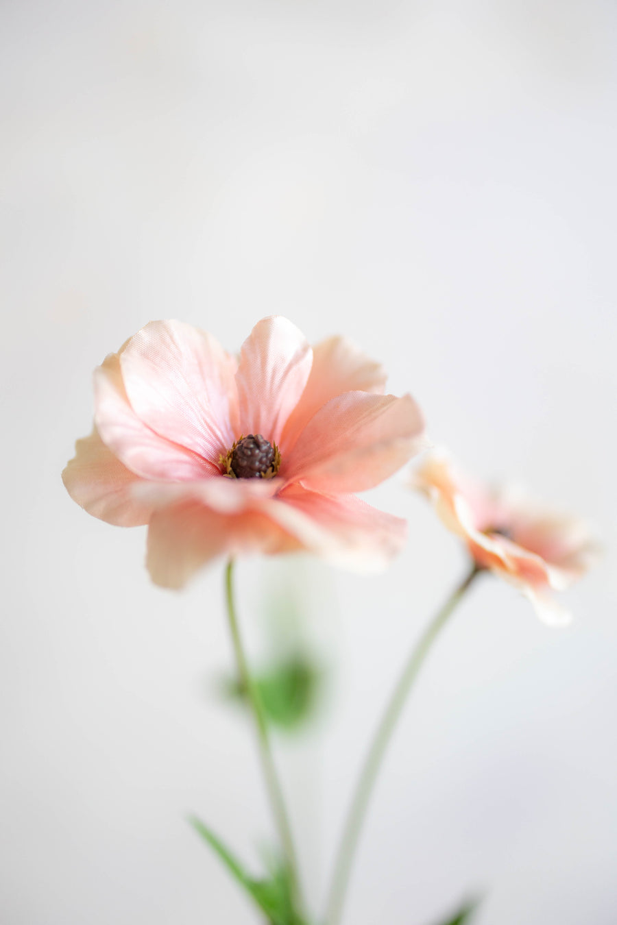 Ranunculus Butterfly Silk 19"