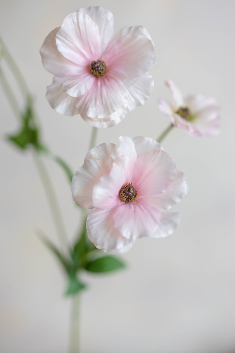 Ranunculus Butterfly Silk 19"