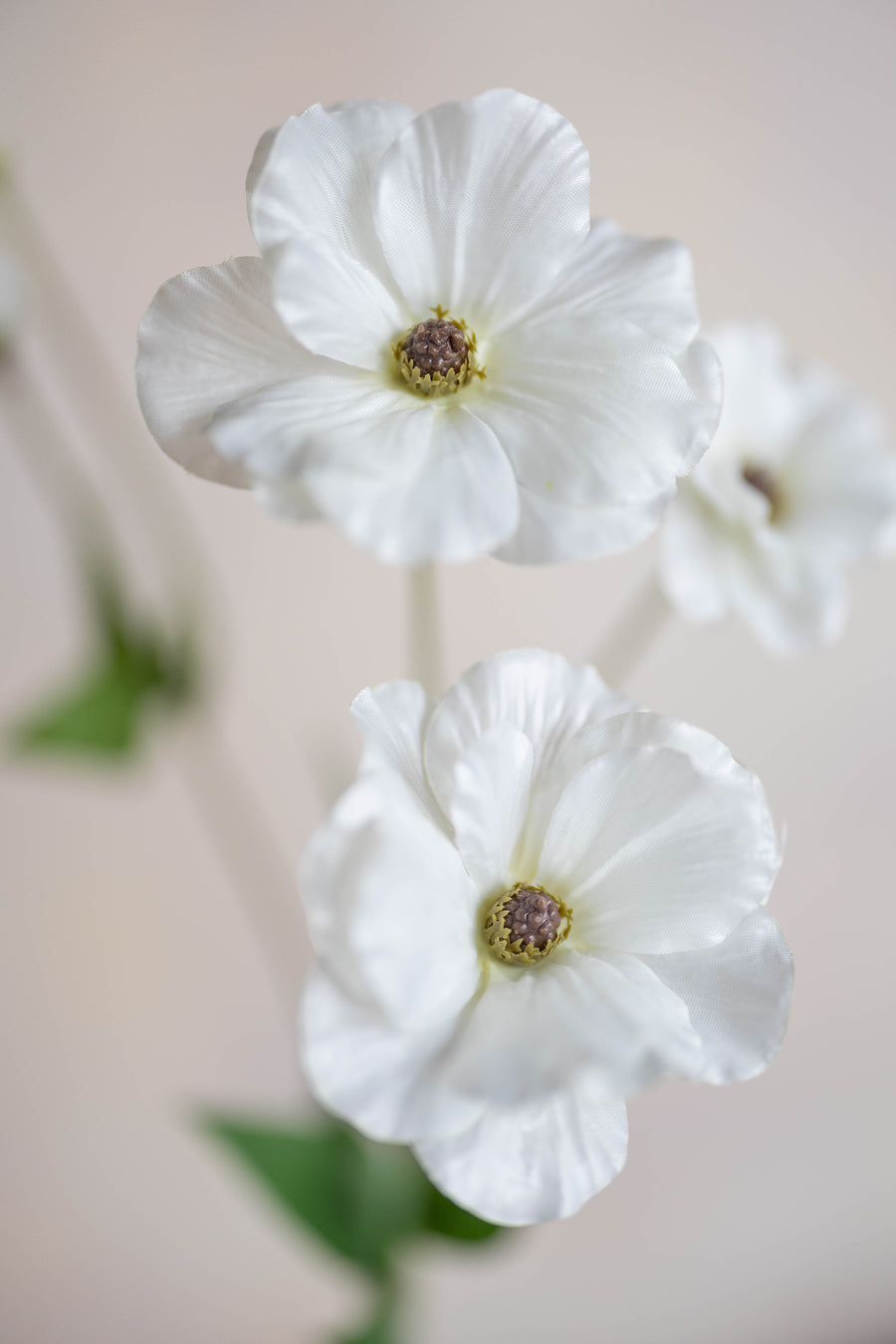 Ranunculus Butterfly Silk 19"