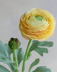 Ranunculus Silk 19"