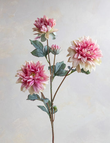 Dahlia Silk 28"