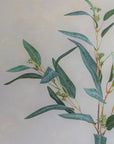 Eucalyptus Willow Silk 30"