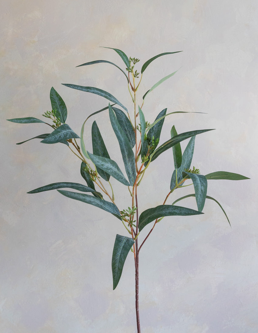 Eucalyptus Willow Silk 30"