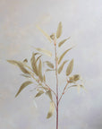 Eucalyptus Willow Silk 30"