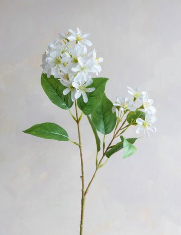 Flowering Privet Silk 28"