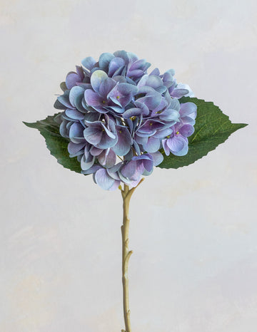 Hydrangea Silk 19"