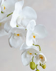 Faux Phalaenopsis Orchids 32"